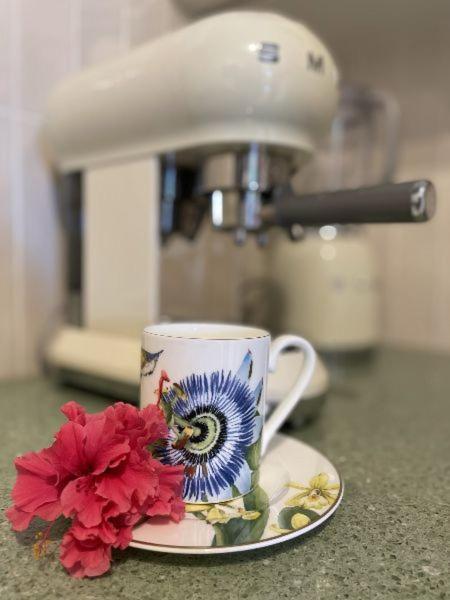 Apartament Timeless Cyprus Pafos Zewnętrze zdjęcie