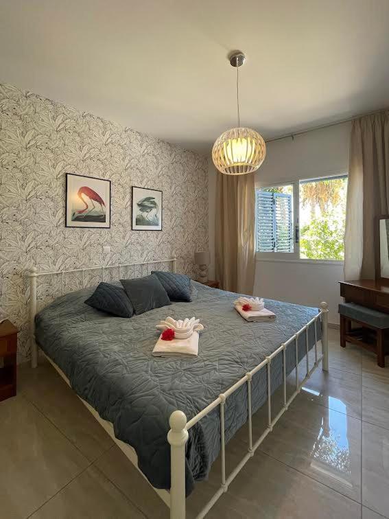 Apartament Timeless Cyprus Pafos Zewnętrze zdjęcie